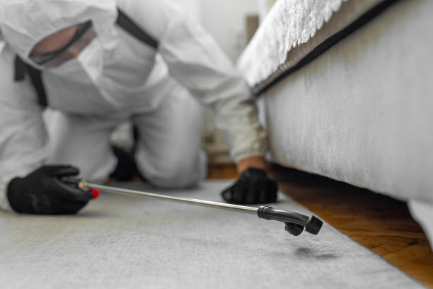 Professional Termite Control technician working in Inverness, FL