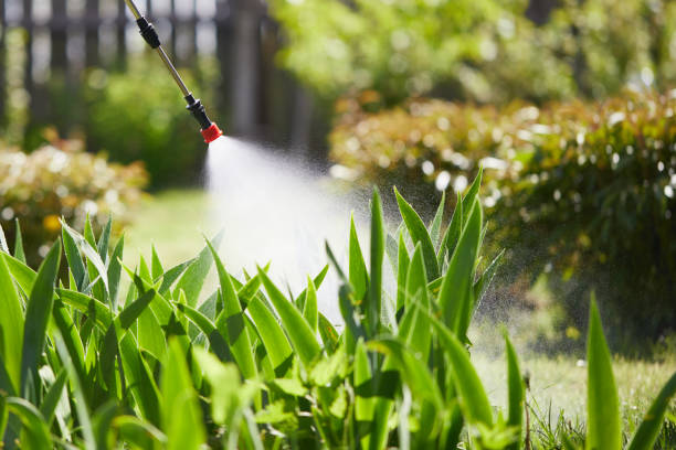 24/7 Emergency Termite Control experts in Inverness, FL