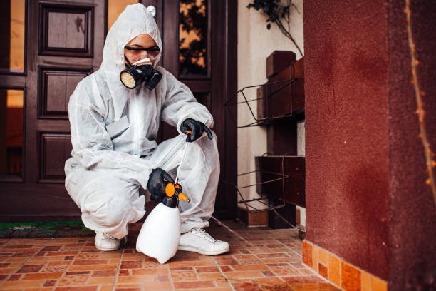 Reliable Termite Control contractor in Inverness, FL by Nex Pest Control