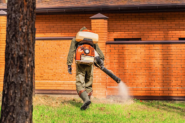 Top rated local Termite Control specialists in Inverness, FL